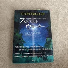 スピリットウォーカー 時空を超えた未来からのメッセージのサムネイル