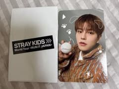 Stray Kids World Tour RUN IT JAPAN スンミンのサムネイル