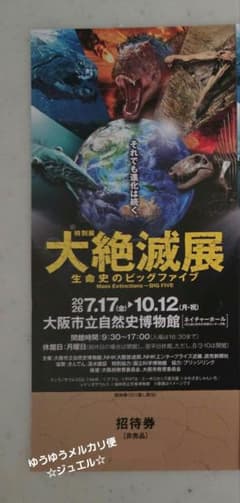 大阪市立自然史博物館　大絶滅展 生命史のビッグファイブ 招待券1枚 - 2