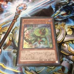遊戯王 捕食植物サンデウキンジーのサムネイル