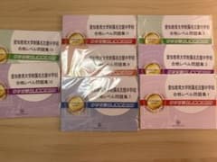 愛知教育大学附属名古屋中学校 合格レベル問題集 1〜15 + 願書最強ワークのサムネイル