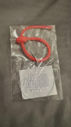 安田章大ゲスト スカパラ『VerSus Carnival』会場限定キーホルダー m14021501859_1.jpg?1784908396