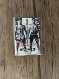 RIZIN.13 那須川天心VS堀口恭司‼️のサムネイル