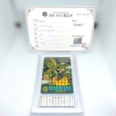 ARS鑑定Grade 7】ドラゴンボール 神龍と悟空 ビジュアルアドベンチャー