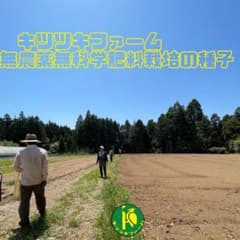 金カブの種子1mlと黒大根の種子80粒のサムネイル