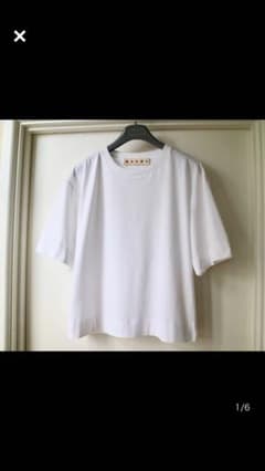 マルニ  コットンジャージTシャツのサムネイル