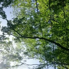 ちゃ♪いきなり注文NG様専用。のサムネイル
