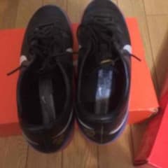 マーキュリアルトレシューのサムネイル