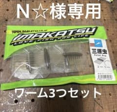 ワーム　その他 N☆様専用 ワーム3つ - メルカリ