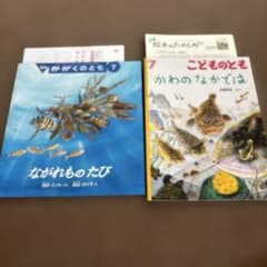 こどものとも、かがくのとも 2024年7月号 かわのなかでは ながれものたびのサムネイル