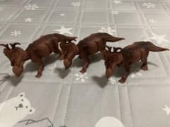 恐竜 おもちゃ　パキリノサウルス3体セットのサムネイル