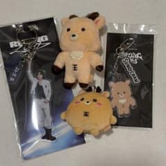 RIIZE ソンチャン ウラッバム ９点グッズセット RIIZE ソンチャン ウラッバム RIIZING DAY ぬいぐるみ - メルカリ