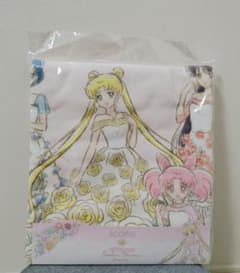 Pretty Guardian Sailor Moon 3COINS Bath Towel (Suriko Three Coins)