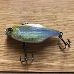 TN60のサムネイル