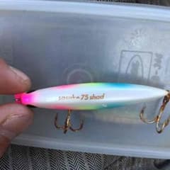 サスケ75シャッドのサムネイル