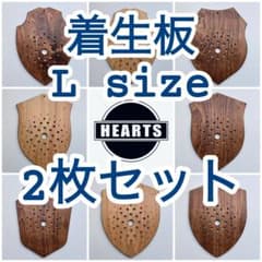 着生板 Lsize お得な2枚セット ビカクシダ コウモリラン 板付 着生材