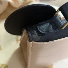 ミニーの耳裏のサムネイル