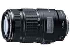 Canon EF75-300mm F4-5.6 IS USMのサムネイル