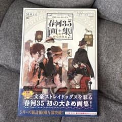 文豪ストレイドッグス　春河35 画集　ゲーマーズ　特典色紙付き　30点セット 文豪ストレイドッグス 春河35 画集 ゲーマーズ 特典 ミニ色紙