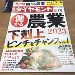 最新号　週間ダイヤモンドのサムネイル