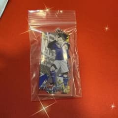 My Hero Academia Keychain - Japan National Soccer Team Version - Aizawa Sensei