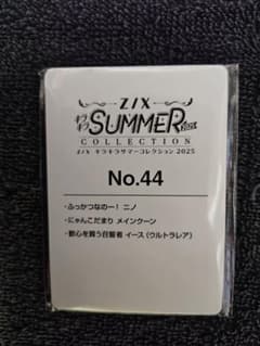Z/X SUMMER COLLECTION 2025 No.44