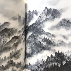 美品 水墨画 巨匠 作品 解説 描き方 日本画 スケッチ 林芳辰 墨絵