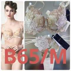 サルート⭐️97グループ ⭐️CR⭐️B65/M⭐️上下セット⭐️新品