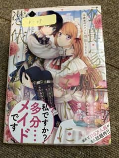 最終値下中　公爵家のメイドに憑依しました 1のサムネイル