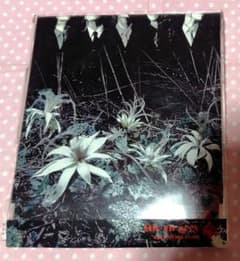 Dir en grey ain't afraid to die CD - メルカリ