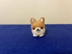 羊毛フェルト コーギーのサムネイル