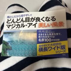 横とじだから見やすい!どんどん目が良くなるマジカル・アイ美しい風景のサムネイル