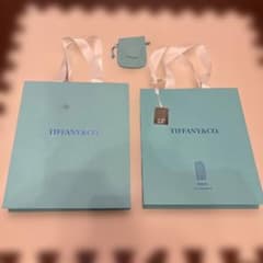 Tiffany & Co. ショップ袋 2枚 巾着袋 セットのサムネイル