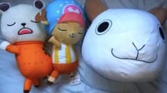ワンピース めちゃもふぐっとぬいぐるみ 3種セット
