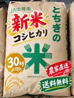 【新米・送料無料‼️】栃木県産 コシヒカリ 玄米 30kg 農家直送のサムネイル