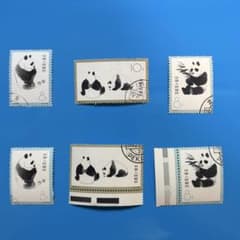 中国切手　特59 大パンダ 使用済み 3種完　2セットのサムネイル