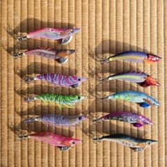 【ケース付きエギのまとめ売り】になります。 ケース付きエギのまとめ売り】になります。 - メルカリ