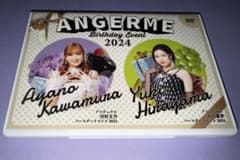 アンジュルム 川村文乃・平山遊季 バースデーイベント2024 DVD - メルカリ
