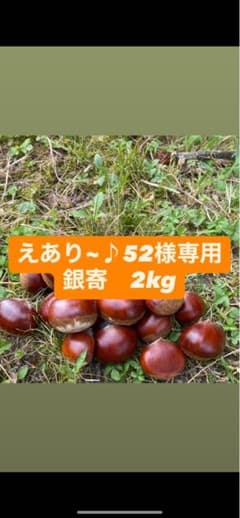 えあり〜♪52様専用 熊本県産 銀寄栗 2kgのサムネイル