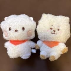 BTS BT21 RJ 진 봉제인형 2개