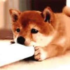 たぁぼーさま専用のサムネイル