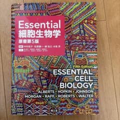 Essential細胞生物学 原書第5版 南江堂のサムネイル