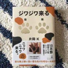 売り切りセール  じわじわ来る 猫 猫のサムネイル