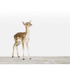 あかずきんさん専用のサムネイル