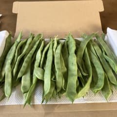 新鮮インゲン豆 600g以上のサムネイル