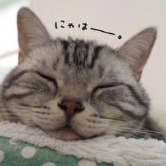まぼ様専用☆のサムネイル