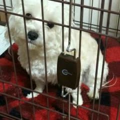 親玉様専用ページのサムネイル