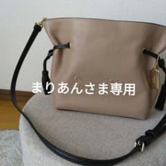 コーチ 2wayショルダーバッグ ベージュ
獲得ポイント等9%分を今すぐのサムネイル
