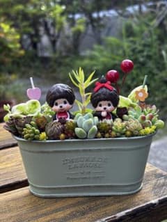 多肉植物＊寄せ植え＊そのまま飾れる♡♡ - メルカリ
