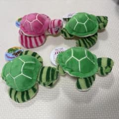 EMI様用　サファリ柄カメの赤ちゃん　あるまど　4個セット　ぬいぐるみのサムネイル